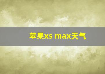 苹果xs max天气